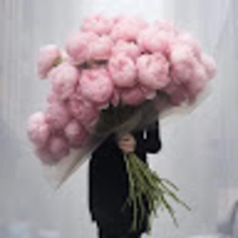 Meet your Posher, Ekaterina